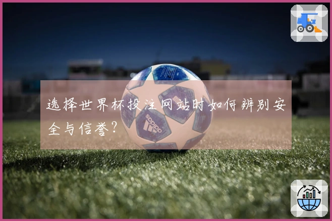 选择世界杯投注网站时如何辨别安全与信誉？