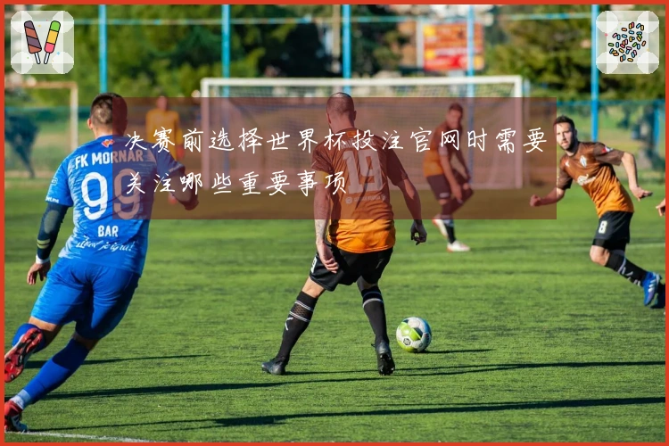 决赛前选择世界杯投注官网时需要关注哪些重要事项