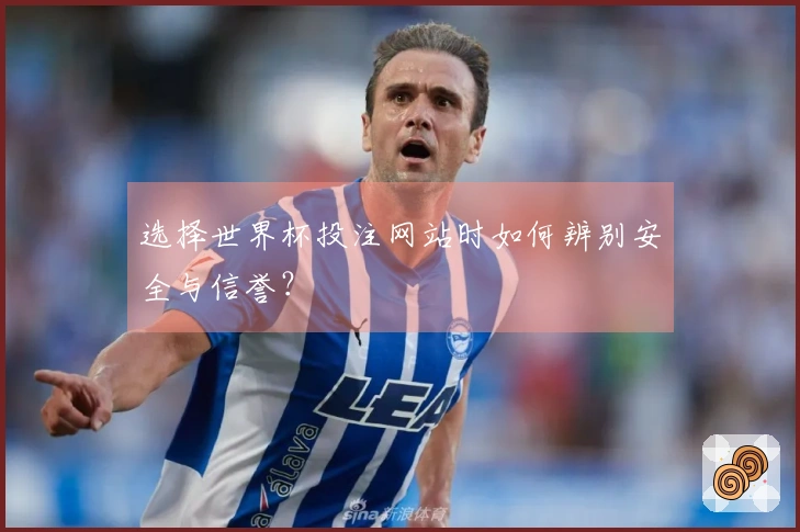 选择世界杯投注网站时如何辨别安全与信誉？